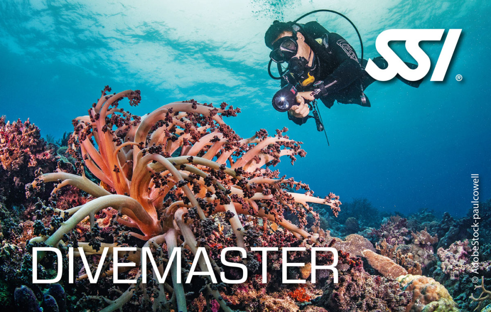 Dive Guide / Divemaster Kit