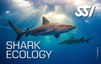 Shark Ecology Kit