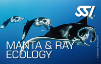 Manta & Ray Ecology Kit